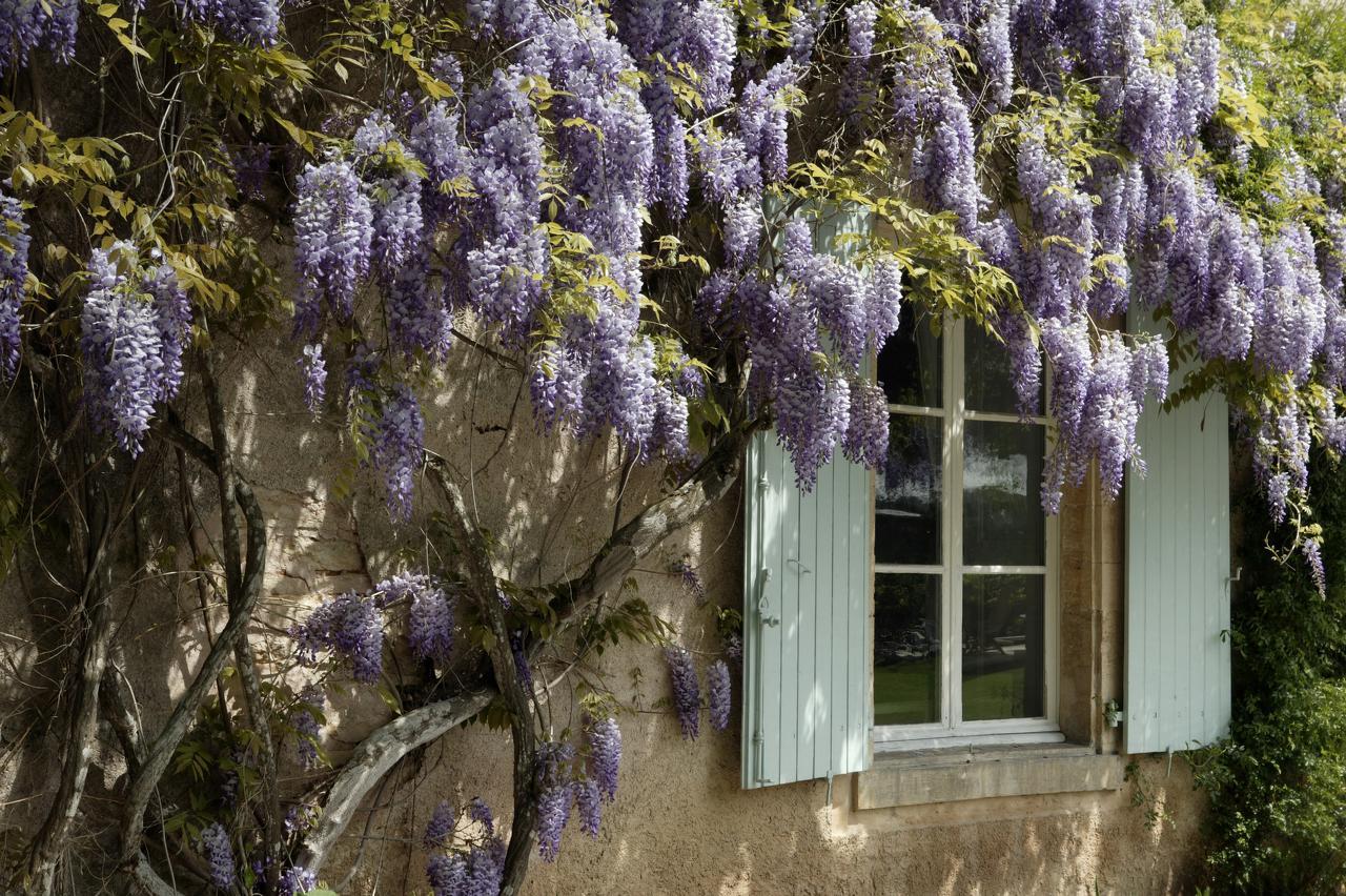 Hostellerie De La Commanderie Condat-sur-Vezere Exterior photo
